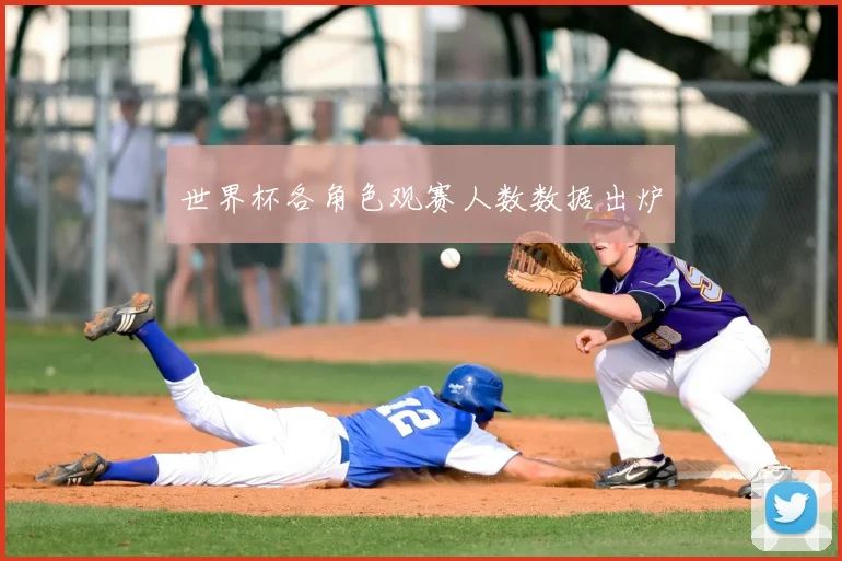 世界杯各角色观赛人数数据出炉