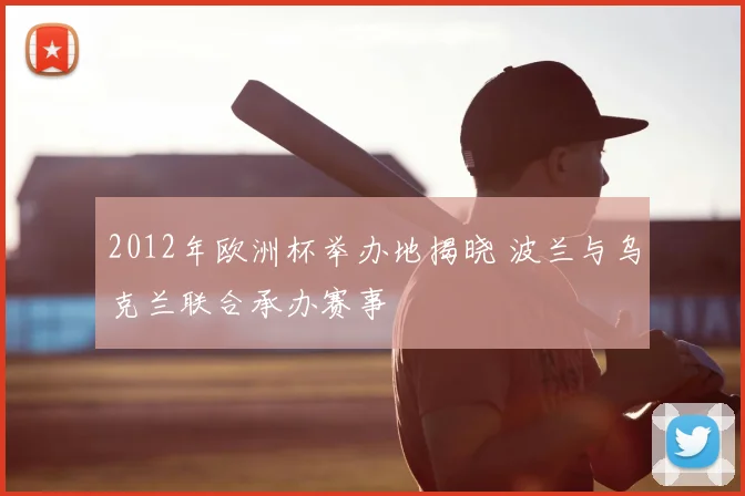 2012年欧洲杯举办地揭晓 波兰与乌克兰联合承办赛事