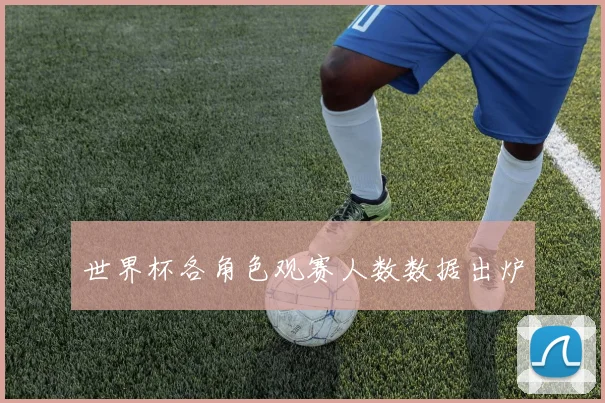 世界杯各角色观赛人数数据出炉