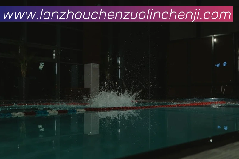 多媒体互动体验